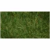 Bachmann 6mm Pull-Apart Static Grass (Dark Green) (11" x 5.5") -Bachmann Sales Shop bac31002